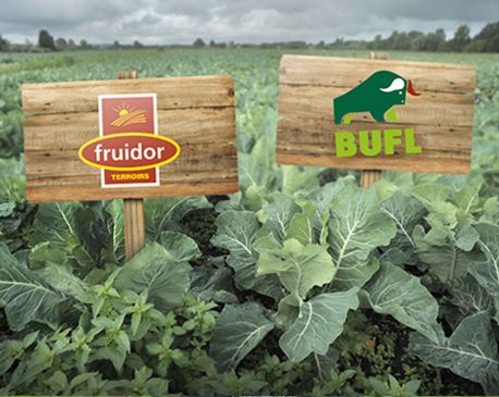 Bufl et Fruidor Terroirs