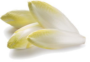 L'endive